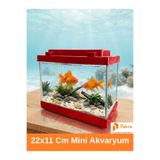 PKR Mini Akvaryum Kırmızı