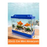 PKR Mini Akvaryum Mavi