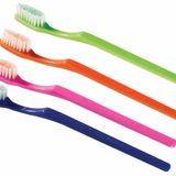 Plack Smacker Mintburst Önceden Yapıştırılmış Ayrı Sarılı Diş Fırçası (36 Diş Fırçası)