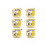 Plaisir Hindi Etli Pate Kısırlaştırılmış Ve Yetişkin Kedi Yaş Maması 100 Gr X 6 Adet