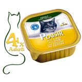 Plaisir Pate Hindi Etli 4x100 gr Yaş Kedi Maması