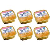 Plaisir Pate Kitten Yavru 6 Adet Tavuklu Sütlü Kedi 100 gr Yaş Konserve Maması
