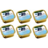 Plaisir Pate Ton Balıklı Kedi Yaş Konserve Maması 100 gr 6 Adet