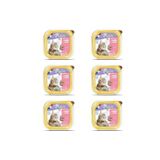 Plaisir Somon Balıklı Pate Kısırlaştırılmış Ve Yetişkin Kedi Yaş Maması 100 Gr X 6 Adet