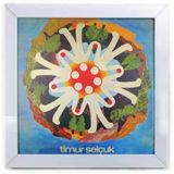 Plak Duvar Çerçevesi (White, 12 (Lp))