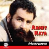Plak İstasyonu Ahmet Kaya Dokunma Yanarsın Lp Plak