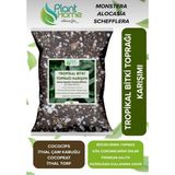 Plan Home Powermix 15 Litre- Tropikal Bitki Toprağı Monstera-Alocesia-Schefflera Için Sinek Yapmayan Formül