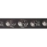 Planet Waves 50Al01 Alchemy Serisi 50Mm Gitar Askısı | Muted Skull (Kuru Kafa) Desenli, Ayarlanabilir Uzunluk, Kaliteli Dokuma
