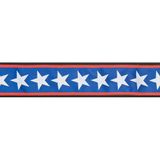 Planet Waves 50Pla10 Kilitli Gitar Askısı Lock-Stars Stripes (5 Cm) | Planet Lock Sistem - Çıkmaz Kilit - Şık Desen