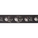 Planet Waves D'addario 50AL01 2" Woven Naylon Alchemy Gitar Askısı (Muted Skulls)