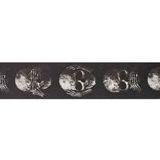 PlanetWaves 50AL01 50 mm Alchemy Str Muted Skull Gitar Askısı