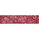 Planetwaves 50G02 Planetwaves 50G02 Gitar Askısı, 50Mm, Kırmızı Bandana