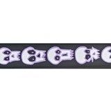 PlanetWaves 50JS07 Dokuma Joe Satriani Skulls Gitar Askısı