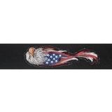 PlanetWaves 64P04 64 mm Dokuma Eagle Gitar Askısı