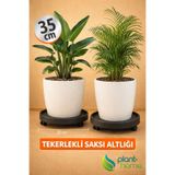 plant-home (1 ADET) 35 cm Tekerlekli Saksı Altlığı –Yük Taşıyıcı, Saksı - Damacana - Hava Temizleyici - Tüp