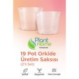 plant-home 19 Pot Orkide Üretim Saksısı - Köklü Tropikal Bitkiler İçin Özel Üretim Saksısı