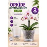 plant-home 2’li Orkide Üretim Saksısı Seti 0,75 Litre Şeffaf Orkide Saksısı Kök Görünümlü Drenajlı Saksı