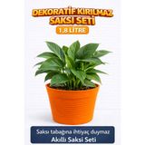 plant-home 2’li Saksı Seti | 15 Pot Şeffaf Üretim Saksısı + 1,8 L Turuncu Kırılmaz Dekoratif Dış Saksı