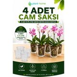 plant-home 4 Adet Cam Orkide Saksısı Seti | Şeffaf Dekoratif Cam Saksı + 4 Adet 0,75 Litre Orkide Üretim Saksısı Hediyeli