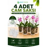 plant-home 4 Adet Cam Orkide Saksısı Seti | Şeffaf Dekoratif Cam Saksı + 4 Adet 0,75 Litre Orkide Üretim Saksısı Hediyeli