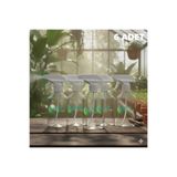 plant-home 6 Adet Boş Şeffaf Sprey Şişe Seti - Kimyasallara Dayanıklı 500 ml Fısfıs Şişe