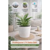 plant-home Akıllı 2’li Saksı Seti – Bone Beyaz Dekoratif Saksı + Şeffaf Üretim Saksısı | Drenajlı, Kırılmaz