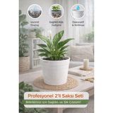 plant-home Akıllı 2’li Saksı Seti – Bone Beyaz Dekoratif Saksı + Şeffaf Üretim Saksısı | Drenajlı, Kırılmaz