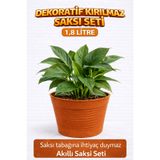 plant-home Akıllı 2’li Saksı Seti – Terracota Dekoratif Saksı + Şeffaf Üretim Saksısı | Drenajlı, Kırılmaz