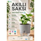 plant-home Akıllı Saksı Kendini Sulayan Saksı Otomatik Sulama Sistemli Su Hazneli Dekoratif Saksı 2 Litre