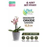 plant-home Dekoratif Şefaf Orkide Saksısı - A Adet Set Fiyatlı -12 Pot Üretim Saksısına Uygun Kaliteli Ürün