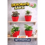 plant-home Modern Kırmızı Saksı Seti (4 Adet) | Orkide ve Ev Bitkileri İçin