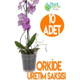 Plant Home Power Mix 10 Adet Orkide Üretim Saksısı - Plastik Şefaf Orkide Üretimine Uygun Saksı