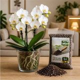 Plant Home Power Mix 12 Pot Cam Orkide Saksısı & 1 Litre Bitki Toprağı Set