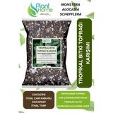 Plant Home Power Mix 15 Litre -Tropikal Bitki Toprağı Monstera – Alocasia – Schefflera İçin Sinek Yapmayan Formül