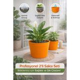 Plant Home Power Mix 2’li Saksı Seti | 15 Pot Şeffaf Üretim Saksısı + 1,8 L Turuncu Kırılmaz Dekoratif Dış Saksı