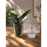 Plant Home Power Mix / 3 Adet 0.75 Lt Orkide Şefaf Üretim Saksısı /12 Pot Cam Orkide Üretim Saksısı Set