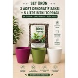 Plant Home Power Mix 3 Adet Dekoratif Saksı + 5 Litre Tavyeli Bitki Toprağı