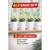 Plant Home Power Mix 4 Adet Beyaz Orkide Saksısı - Set Fiyatlı
