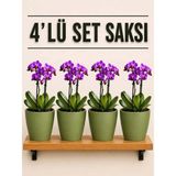 Plant Home Power Mix 4 Lü Koyu Yeşil Renk Orkide Saksısı