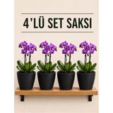 Plant Home Power Mix 4 Lü Siyah Renk Orkide Saksısı