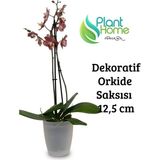 Plant Home Power Mix Beyaz Dekoratif Orkide Saksısı - 12 Lik Üretim Saksısına Uygun Kaliteli Ürün