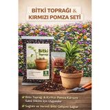 Plant Home Power Mix Bitki Toprağı 5 Litre & Kırmızı Pomza Taşı 1 Litre - Bitki Toprağı ve Kırmızı Pomza Taşı Set