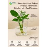 Plant Home Power Mix Cam Saksı – Kesme Çiçek & Orkide Için Uygun Dekoratif Silindir Cam Vazo
