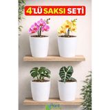 Plant Home Power Mix Dekoratif Beyaz Orkide Saksısı - 4 Adet Set Fiyatlı -12 Pot Üretim Saksısına Uygun Kaliteli Ürün