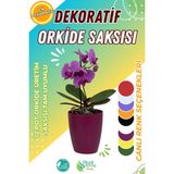 Plant Home Power Mix Dekoratif Orkide Dış Saksısı Vişne – Hava Alan ve Zarif Tasarımlı Saksı Iç Mekan Kullanımına Uygun