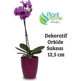 Plant Home Power Mix Dekoratif Orkide Saksısı - 12 Lik Üretim Saksısına Uygun Kaliteli Ürün