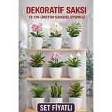 Plant Home Power Mix Dekoratif Saksı Seti 9 Adet – 12 cm Üretim Saksısı Uyumlu, Beyaz Saksı, Modern Çiçek Saksısı