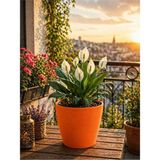 Plant Home Power Mix Dekoratif Saksı Turuncu Renk -1 Adet 12 Pot Orkide Üretim Saksı Hediyeli