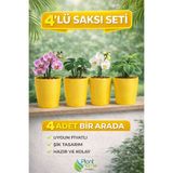 Plant Home Power Mix Dekoratif Sarı Orkide Saksısı - 4 Adet Set Fiyatlı -12 Pot Üretim Saksısına Uygun Kaliteli Ürün