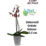 Plant Home Power Mix Dekoratif Şefaf Orkide Saksısı - A Adet Set Fiyatlı -12 Pot Üretim Saksısına Uygun Kaliteli Ürün